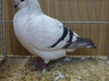 k-05_p1010267