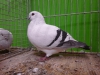 k-07_p1010271